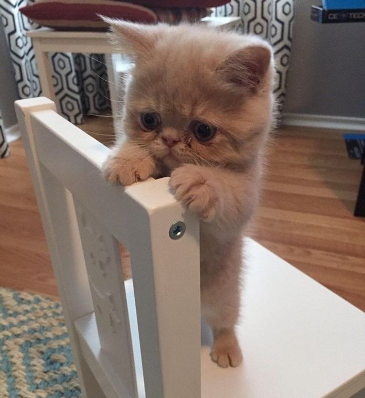 9dc5c35dab9dc57837516d1c72