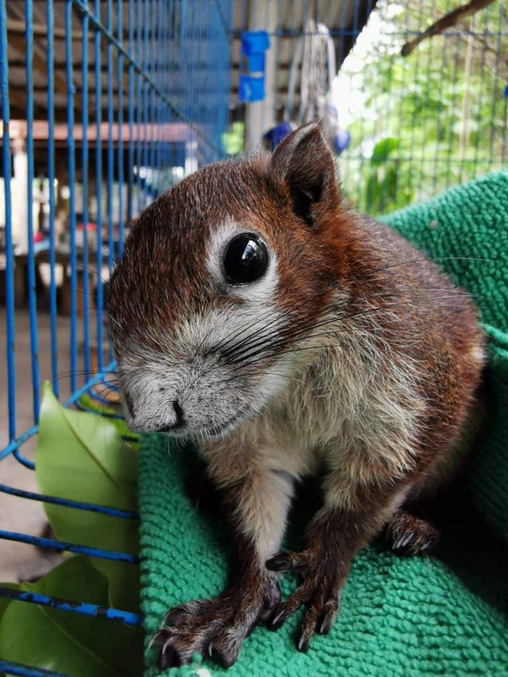 9dcad9562d8a964b4a5003985b