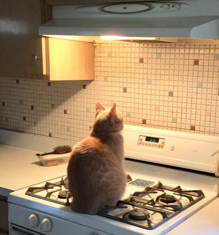 9dd7235533ae2d21c92e73baef