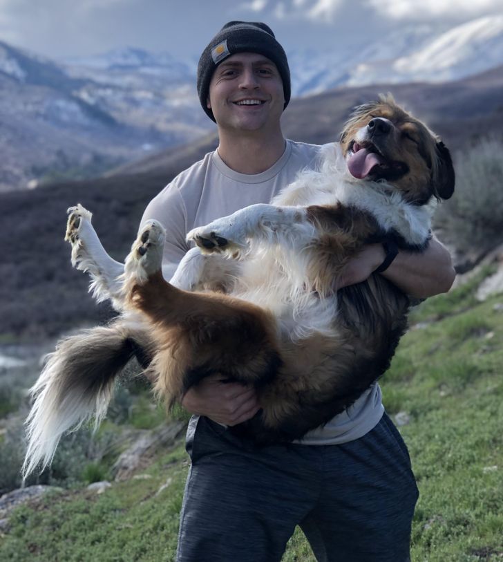 9dda13553393c59c0a22954fdf