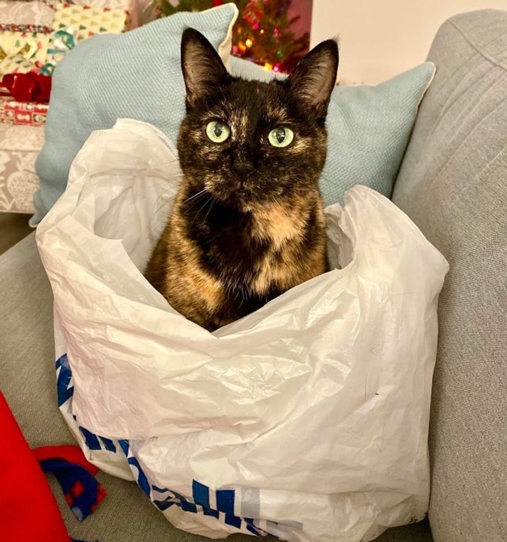 9ded7357d887f8cf210e72a1c4