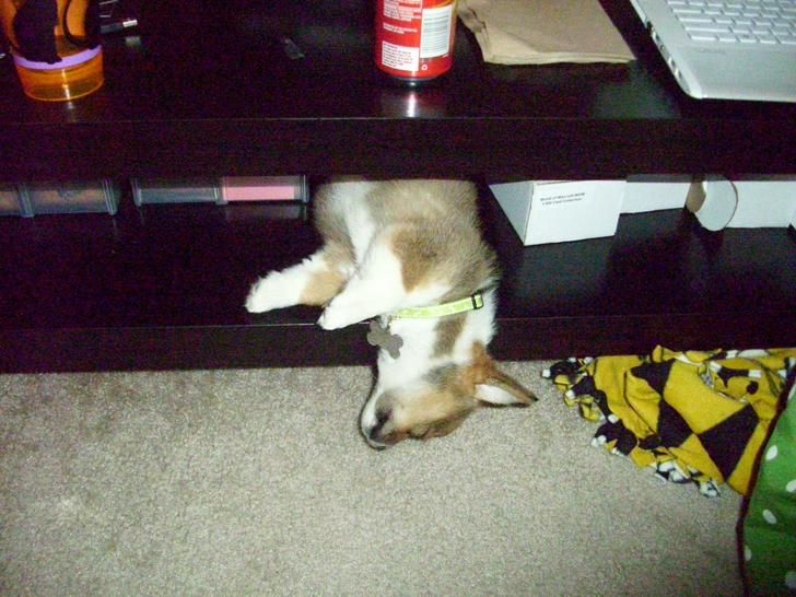 9dfb3158938d5ac790c812de43