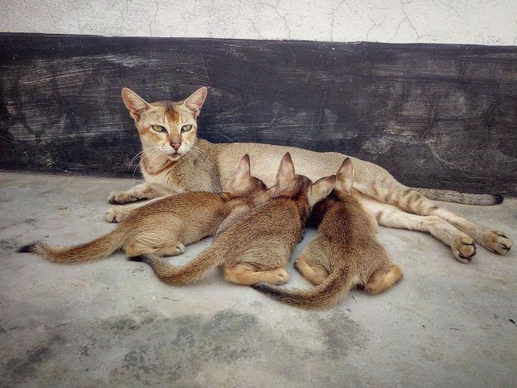 9dfeeb54efa46dae15e493b21f