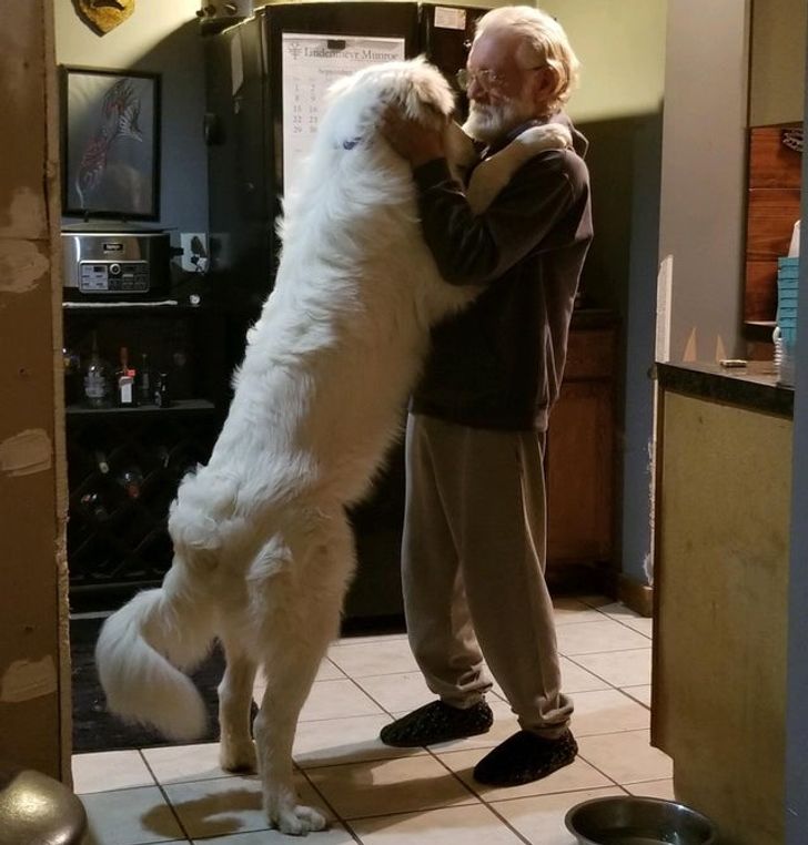 9e01f851b2a1a75d91a5d83fc7