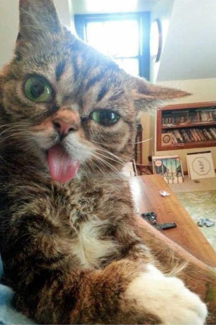 9e0a7e50f1bce793f2fcf0fa6b