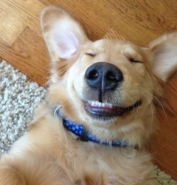 9e0cfc58e1b882ea9039eecd7b