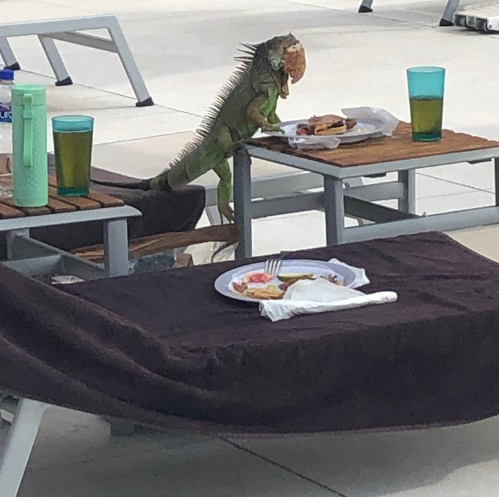 9e11db5032a45515a72251e192