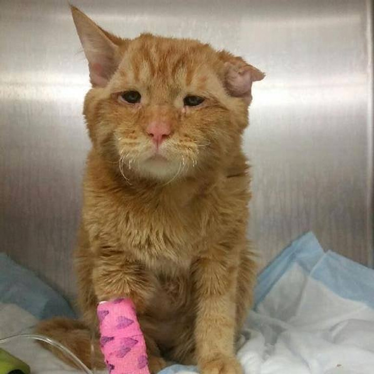 9e180f58a58327103481b02d30