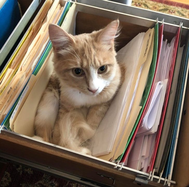 9e27805d4d92d4ffa86d994397