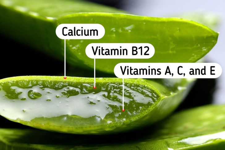 9e32ce5bb68007123ff69cf561