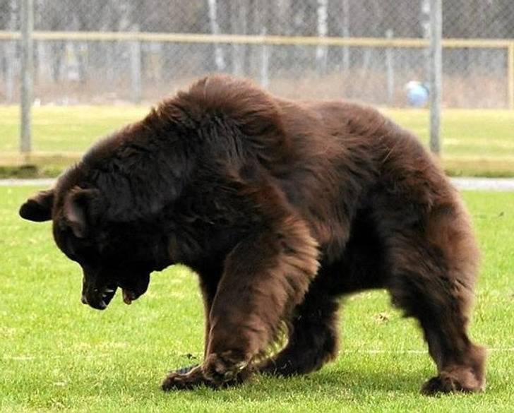 9e32de51ce9644fa660eed81d3