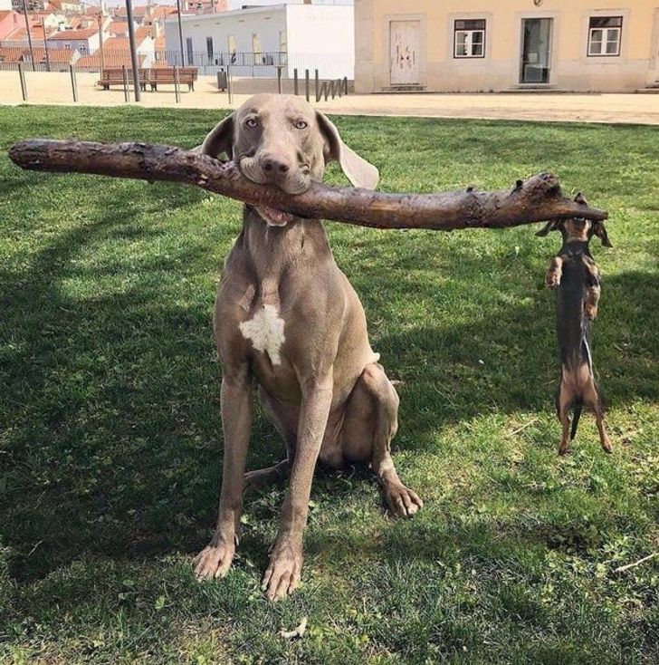 9e375b537c8ebb1cf3e8c66fea