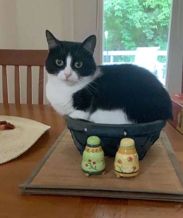 9e42c652e3bc5f46dbe76195a6