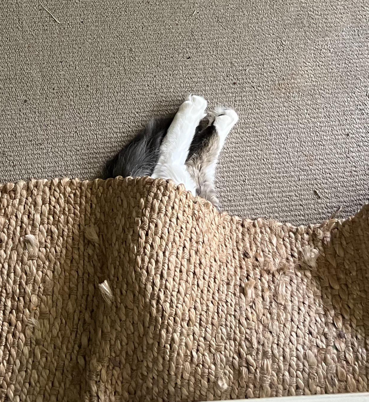 9e51535da78c1098341d878392