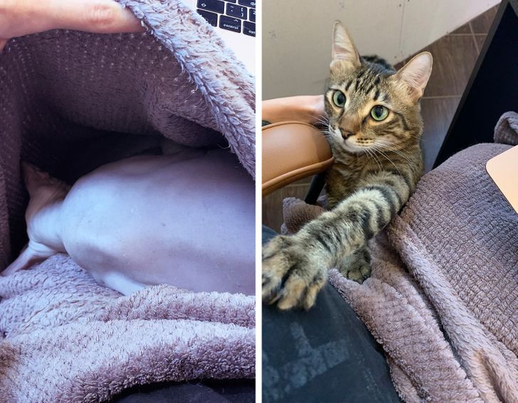 9e52ab5a5c995e7c3cc3d1af63