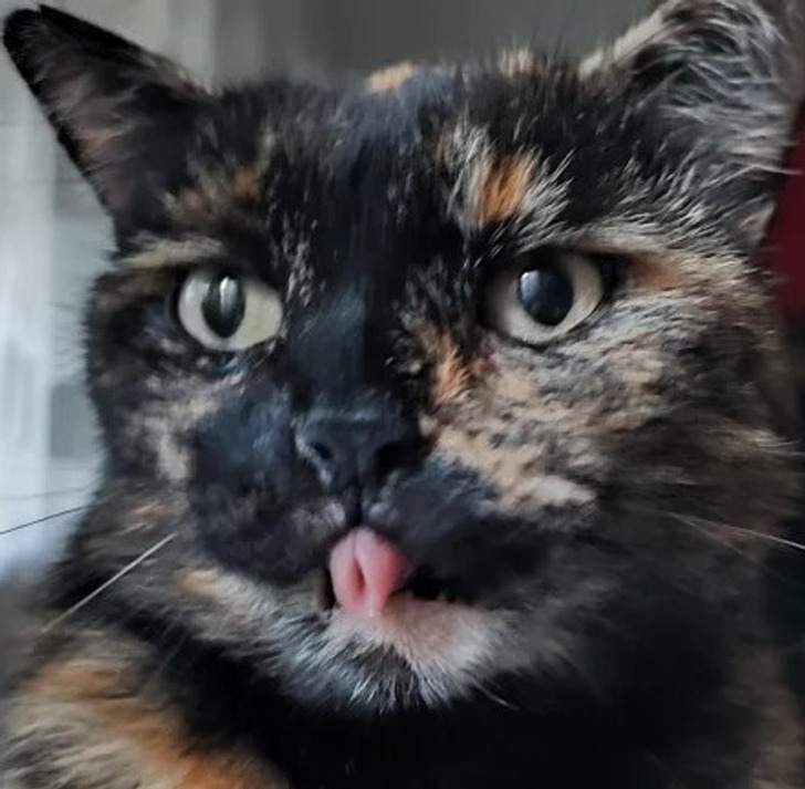 9e5b4458418864fe43c6cbd96e