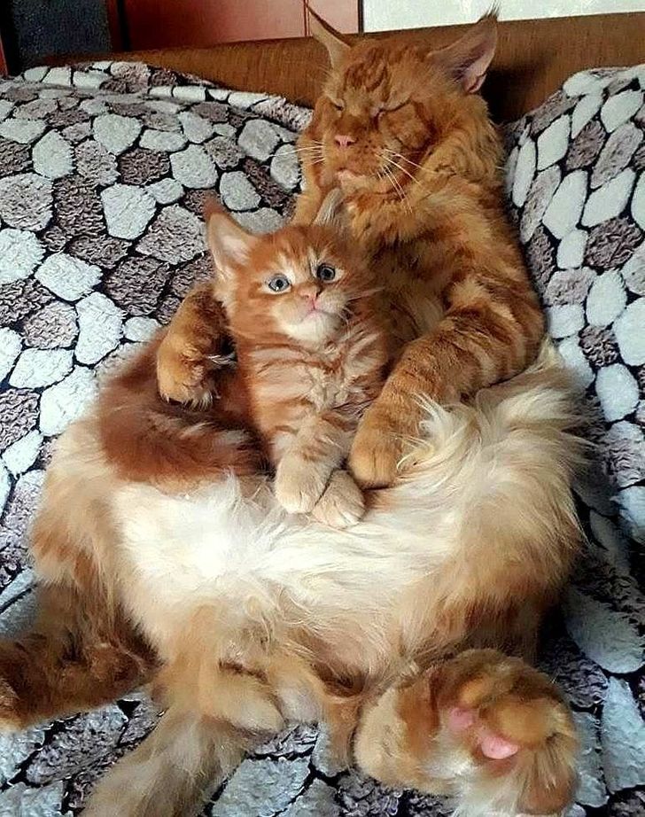 9e5c895080ae82b18469a5fec6