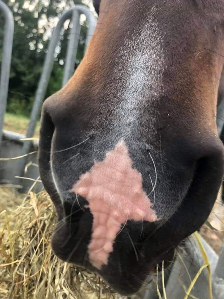 9e608651008172d910b92a60c5