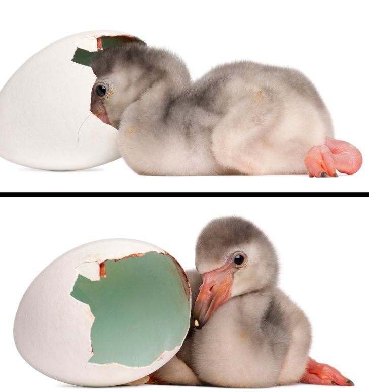 9e62835e9eb6239f395183443d