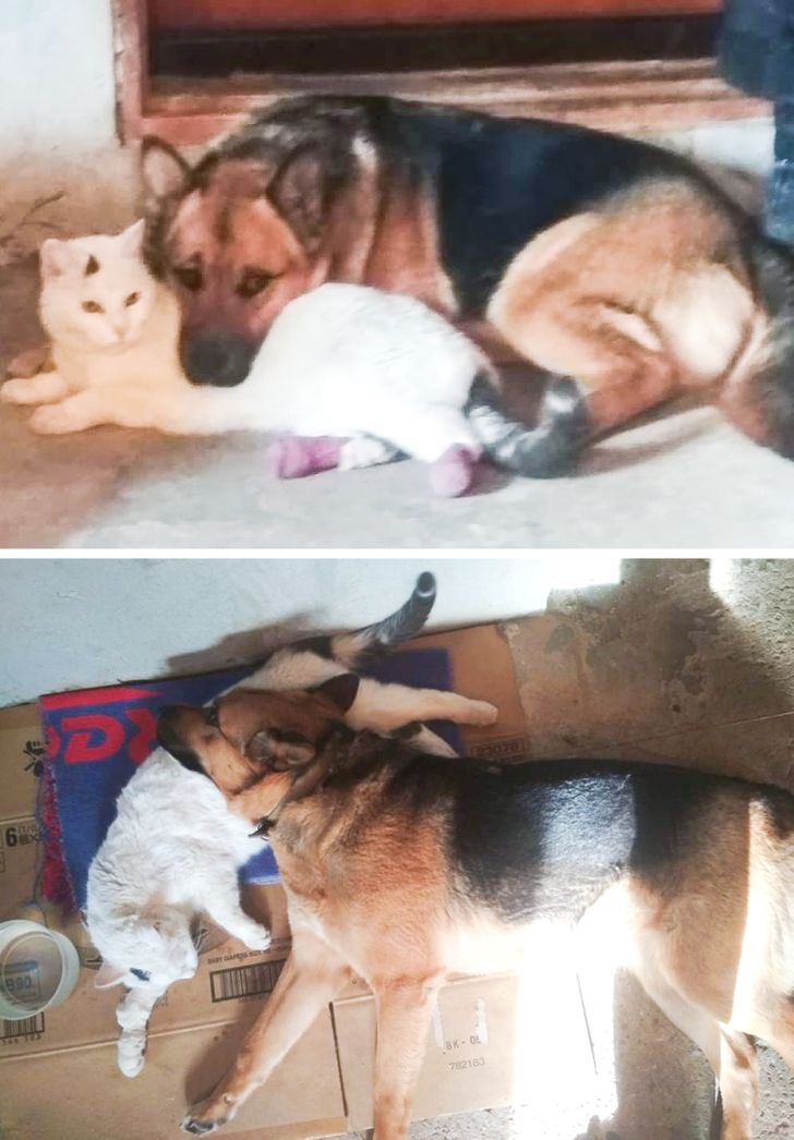 9e64be5b938488dac23ccc2f22