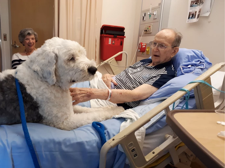 9e67fe5c5f93262e9ea68b0036