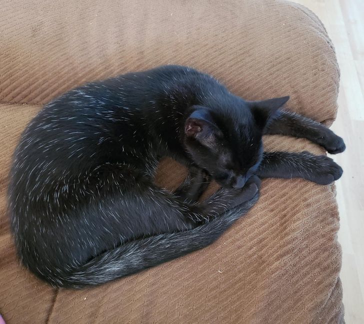 9e7c775caa8b4ad443d50d6f7c