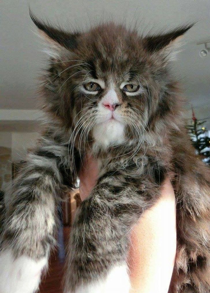 9e812b5ed3b7ac96ee087f616b