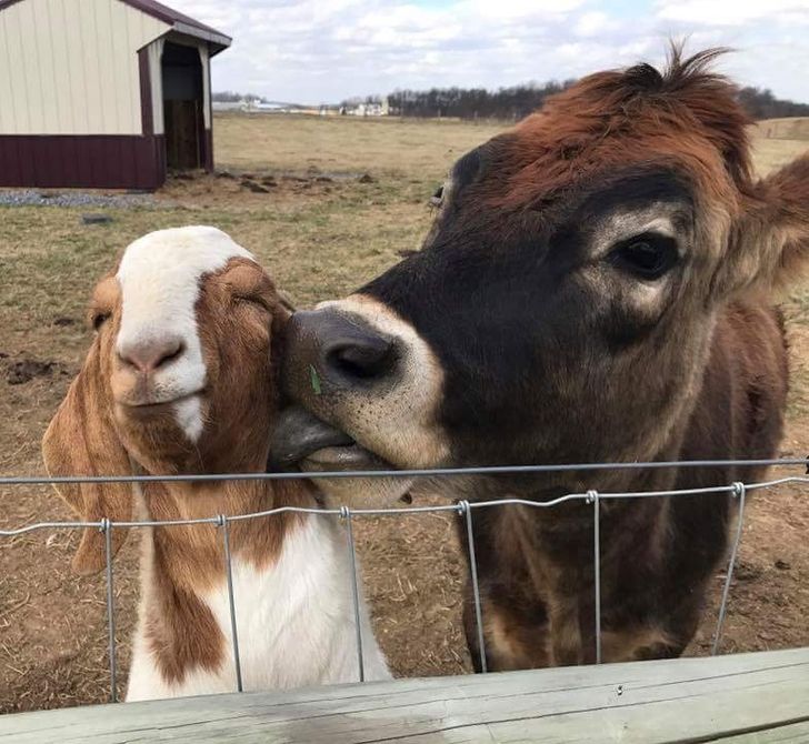 9e834c571b805036e20f22048b