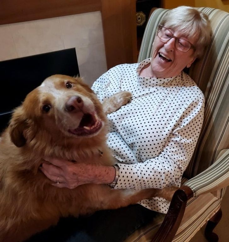 9e88e35c67a62524812e2c72fb