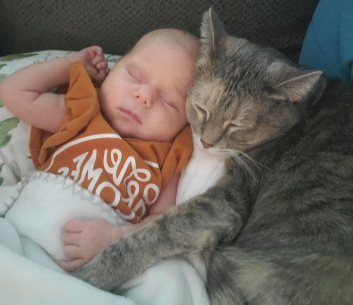 9e902c53ad88069f05b652f679