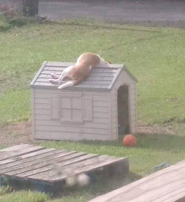 9e91d45b3387ab94dd47f49692