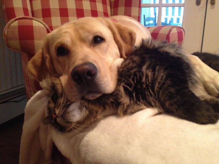 9e9aa156a0a784208ab7067104