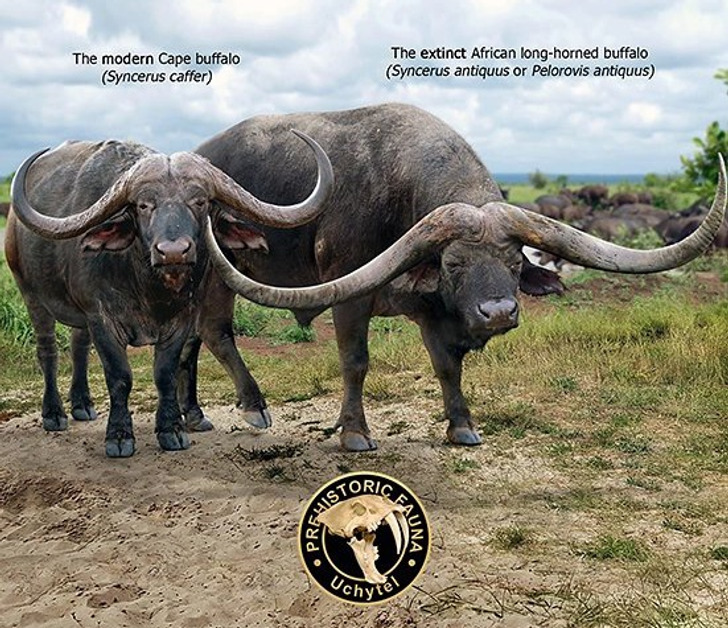 9e9f175cc4a423128088b8ac8a