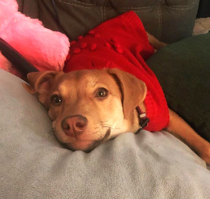 9ea67d51a2b24e7121b3fa626c