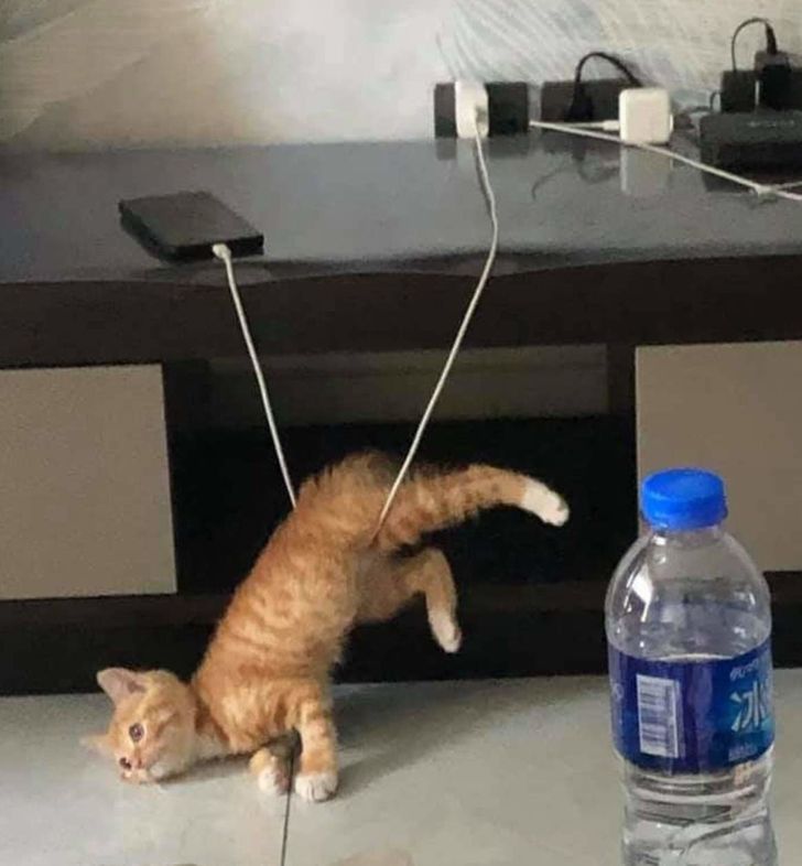 9eaff152a8ae07cd3f69545cf7