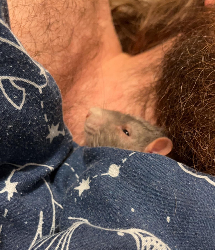 9ebc1f53a48c7ffdba71f805d2 9ebc1f53a48c7ffdba71f805d2