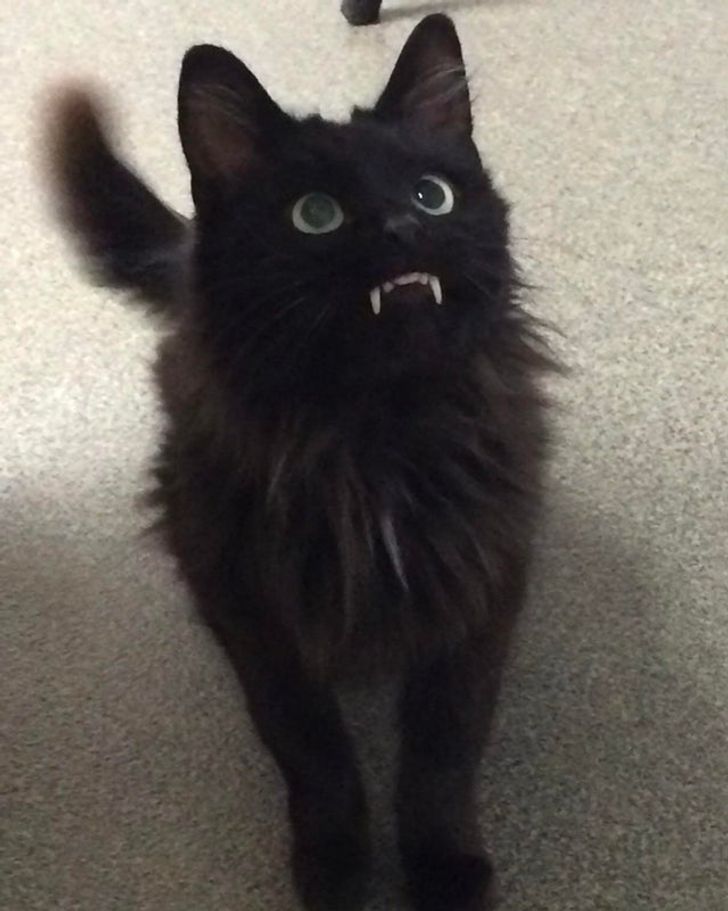 9ec35c5076b7b2a08e0b2bfe84