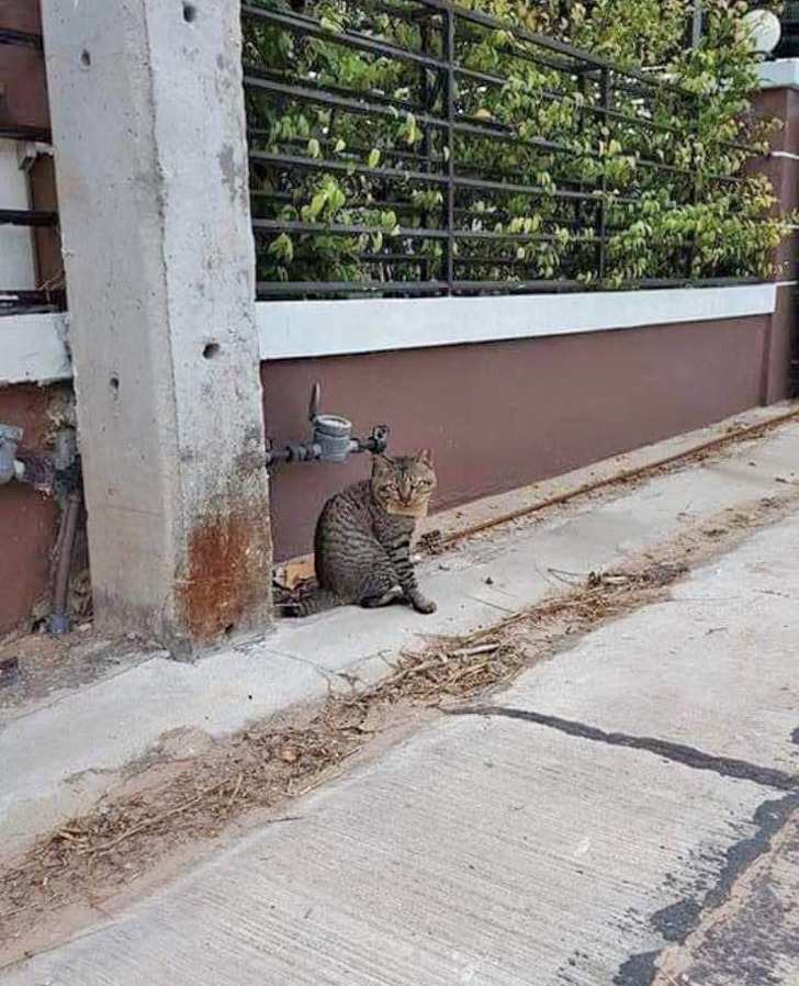 9ec6cc57bba8ee7ff7870920b5