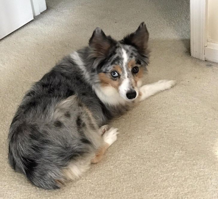 9ecde95f20920821ca77b65e67