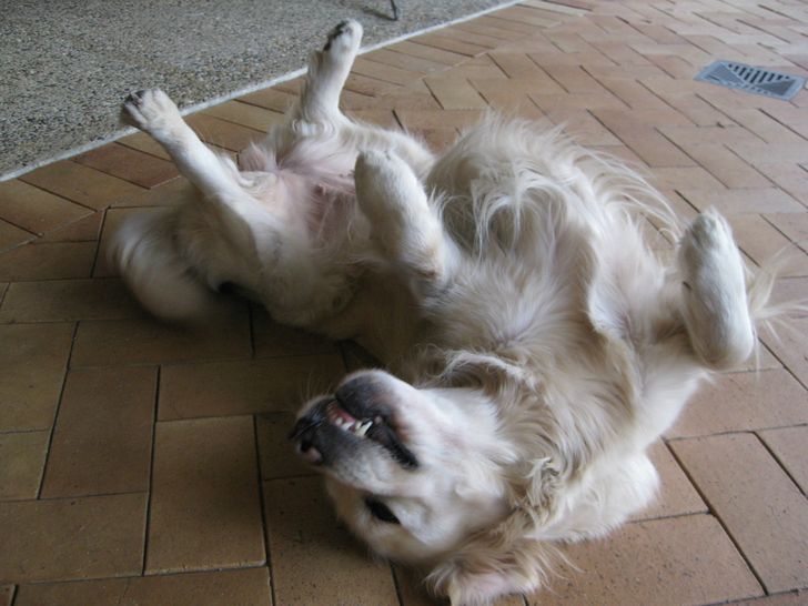 9ed13c534a8b6ca2f8d2b994da