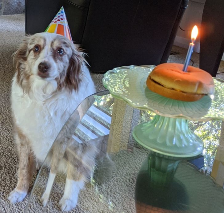 9ed5c5543d871331f860bef211