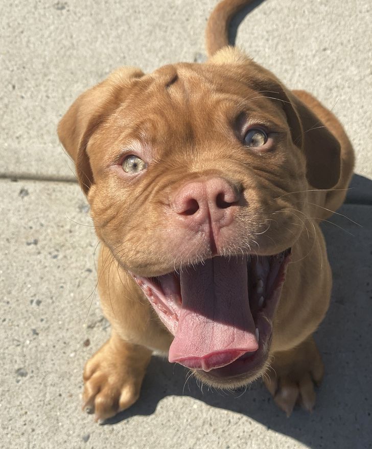 9ed62f5a24ab2fb70024b9d889