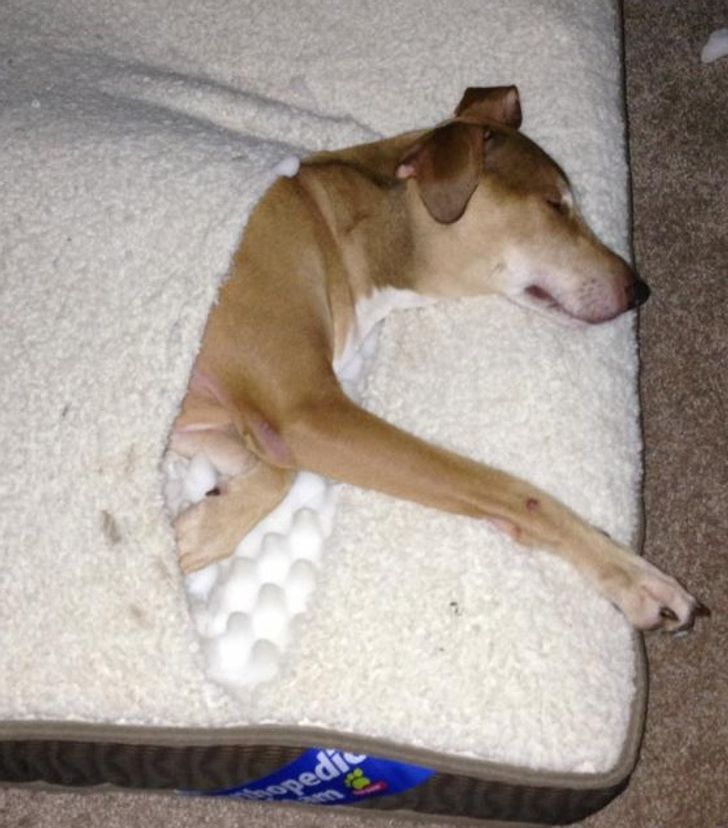 9ee3485ed9a167254c8107c66f