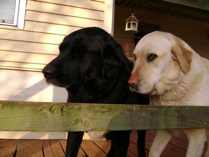 9ee78659508cdabf083e245e1c