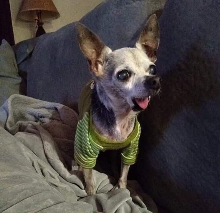 9ef2cd5aec8970c52b39aa718f