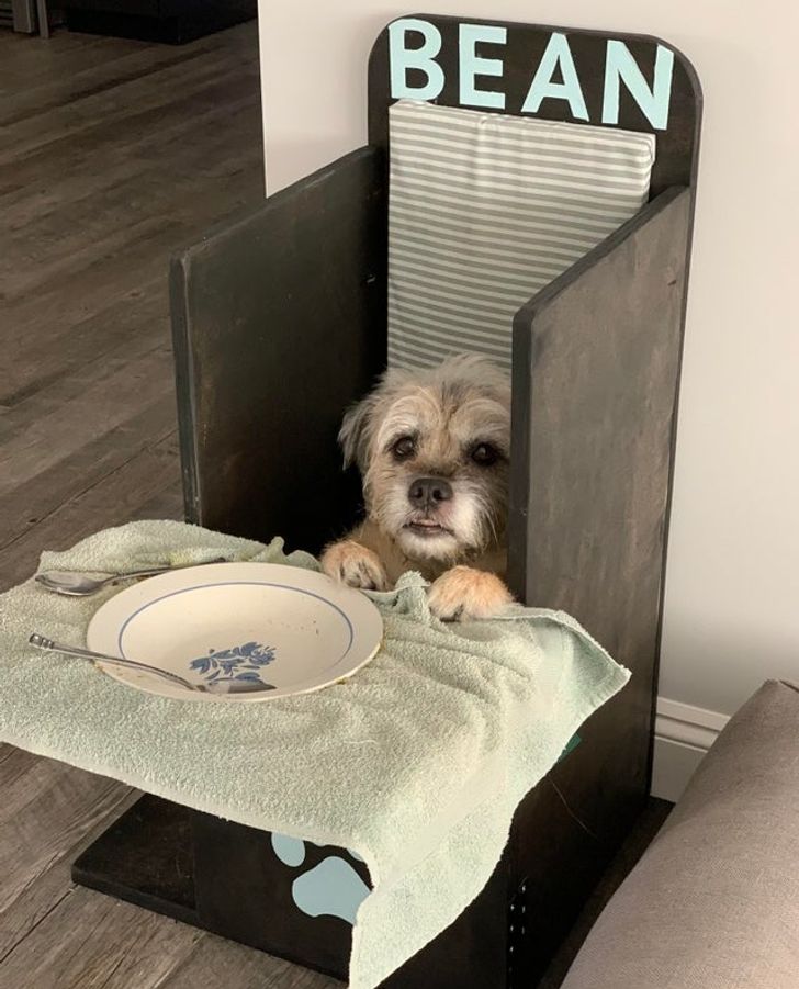 9efa2354629fc5fcb1bdf1e361 9efa2354629fc5fcb1bdf1e361