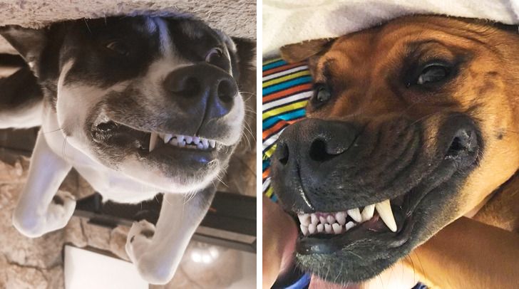 9efe3d587c82fc3d68ab87917e