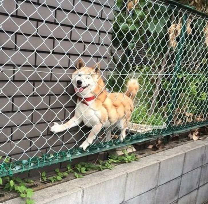 9f01c95888a1bec527e0d57da2