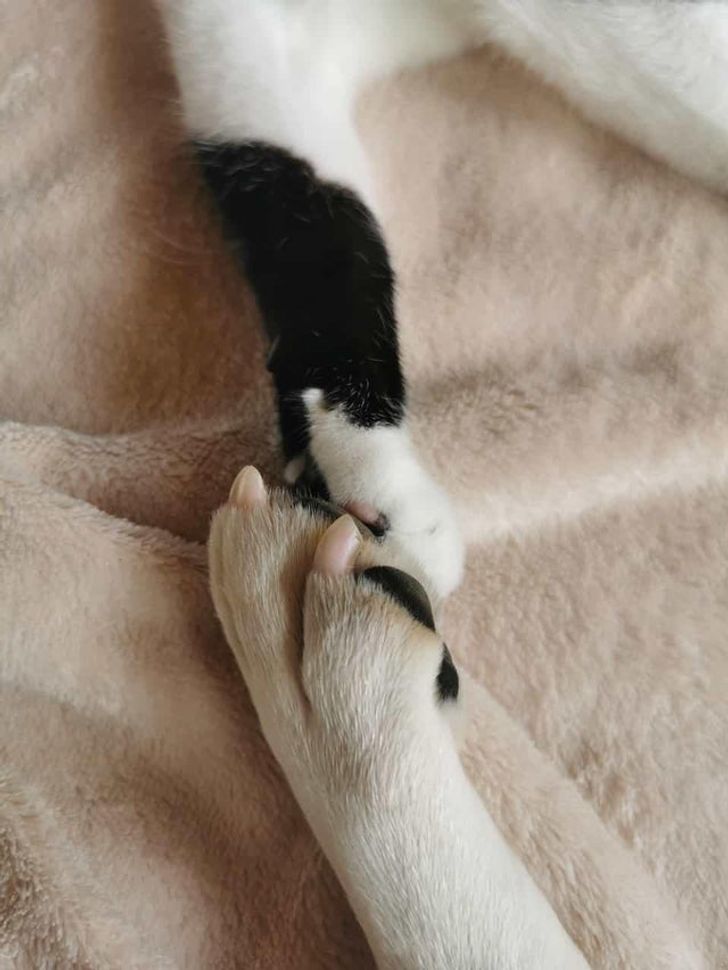 9f026f5365b73edfc8692edf3d 9f026f5365b73edfc8692edf3d