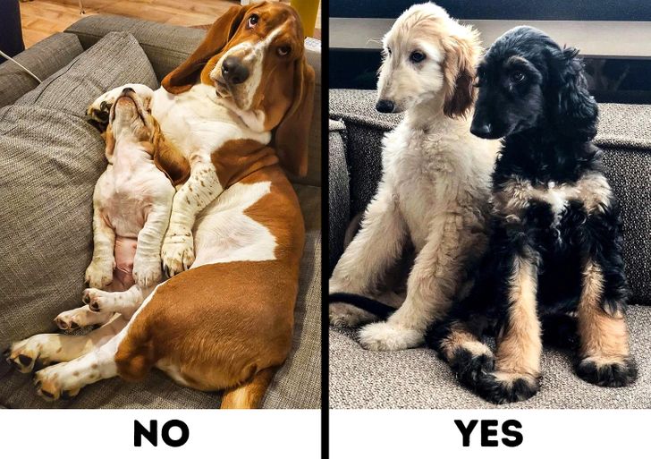 9f07ec5b82b22b7f274f35a2d2